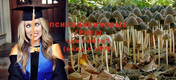 марки nbome Алексеевка