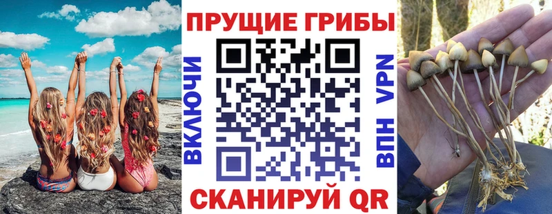 Галлюциногенные грибы мухоморы Симферополь